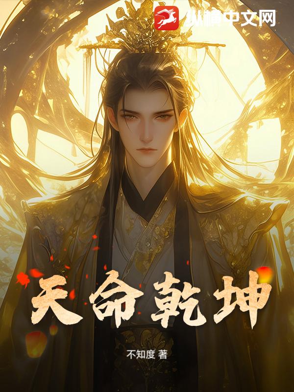 天命乾坤封面图片