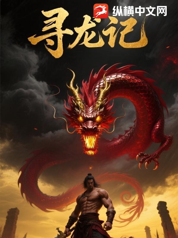 寻龙记封面图片