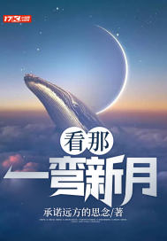 看那一弯新月封面图片