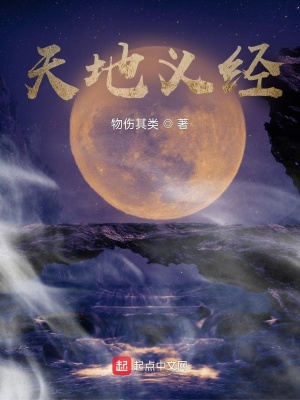 天地义经封面图片