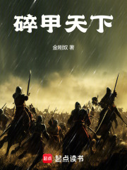 碎甲天下封面图片