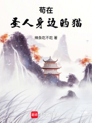 苟在圣人身边的猫封面图片