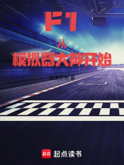 F1：从模拟器大神开始封面图片