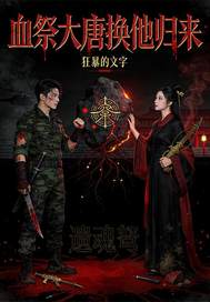 血祭大唐换他归来封面图片