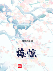梅惊封面图片