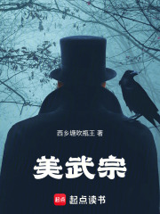 美武宗封面图片