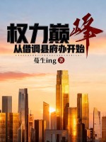权力巅峰，从借调县府办开始封面图片