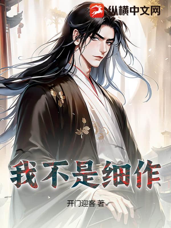 我不是细作封面图片