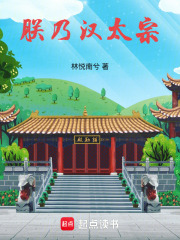 朕乃汉太宗封面图片