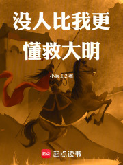 没人比我更懂救大明封面图片
