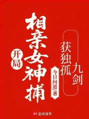 开局相亲女神捕，获独孤九剑封面图片