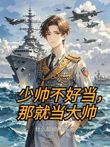 少帅不好当，那就当大帅封面图片
