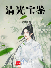 清光宝鉴封面图片
