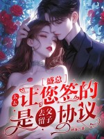 盛总，太太让您签的是去父留子协议封面图片
