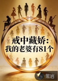 戒中藏娇：我的老婆有81个封面图片