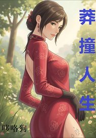 莽撞人生封面图片