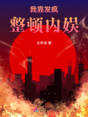 我靠发疯整顿内娱封面图片