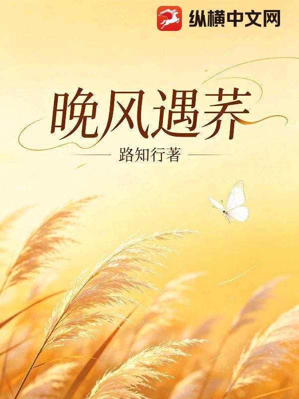晚风遇荞封面图片