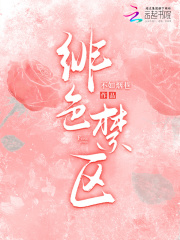 绯色禁区封面图片