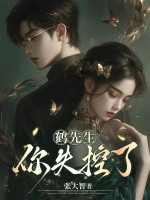 鹤先生，你失控了封面图片