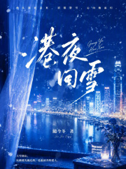 港夜回雪封面图片
