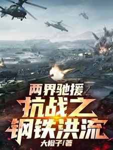 两界驰援：抗战之钢铁洪流封面图片