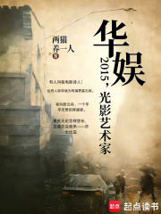 华娱2015，光影艺术家封面图片