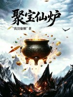 聚宝仙炉封面图片
