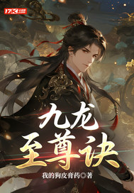 九龙至尊诀封面图片