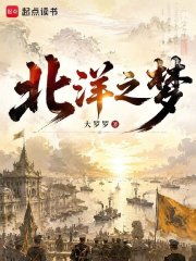 北洋之梦封面图片