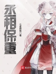 丞相保重封面图片